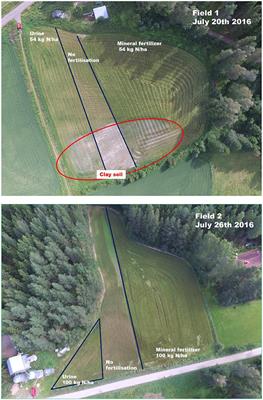 Nitrogen Recovery With Source Separation of Human Urine—Preliminary Results of Its Fertiliser Potential and Use in Agriculture